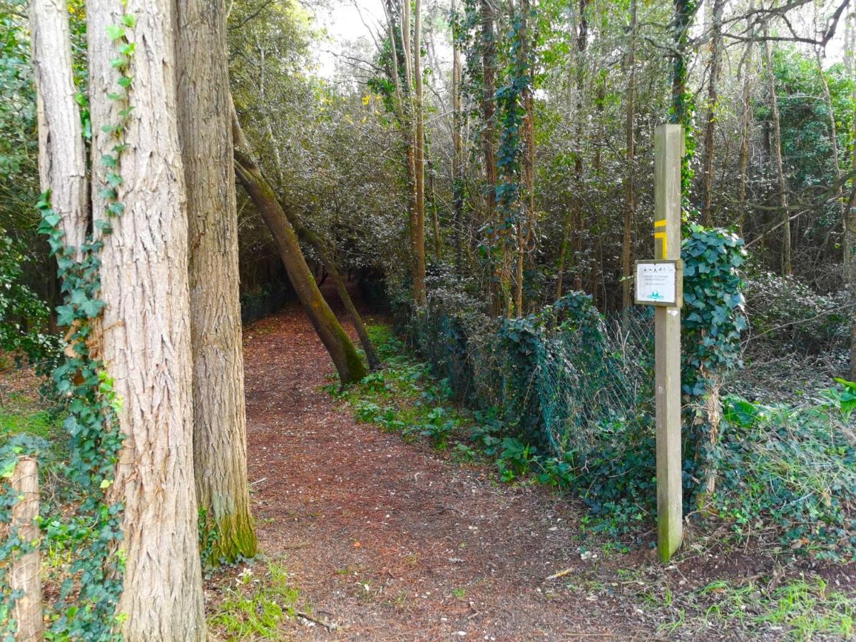 Le Pierani - A 90M De La Mer Saint-Hilaire-de-Talmont Exteriör bild